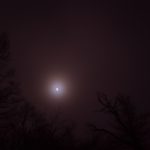 11月26日（木）夜の様子：信州たてしな 星空高原 2020年　