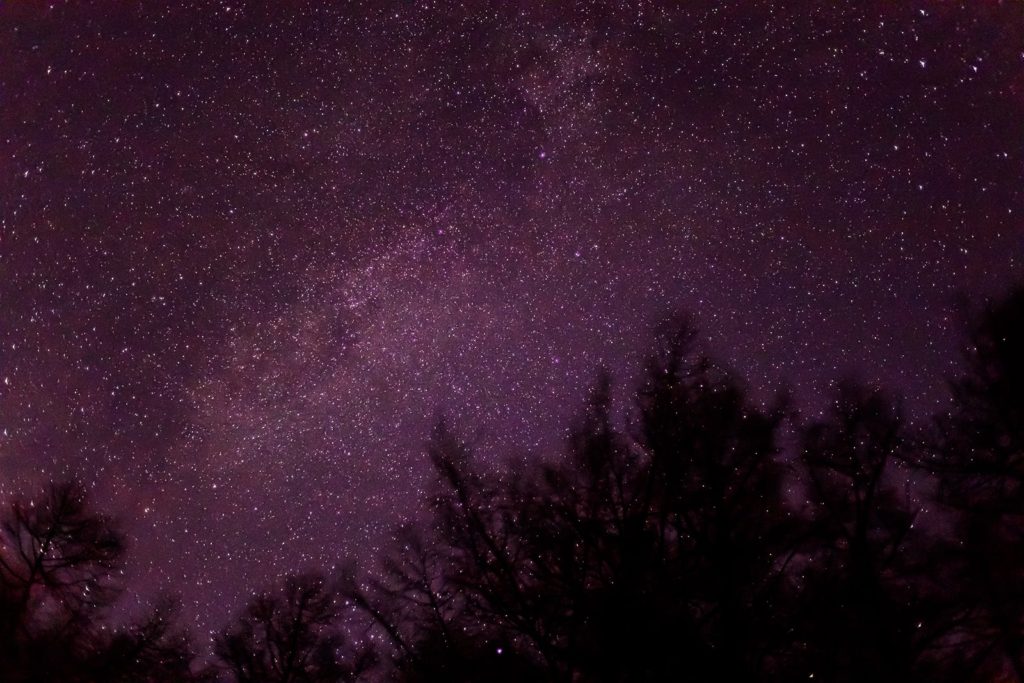 2020年12月5日、信州たてしな 白樺高原の蓼科第二牧場から、夜の星空風景。上空には天の川が流れ、その上を飛ぶかのようなはくちょう座が輝く。