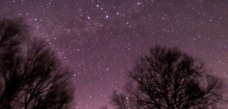 2021年1月4日、信州たてしな 白樺高原の蓼科第二牧場から、夜の星空風景
