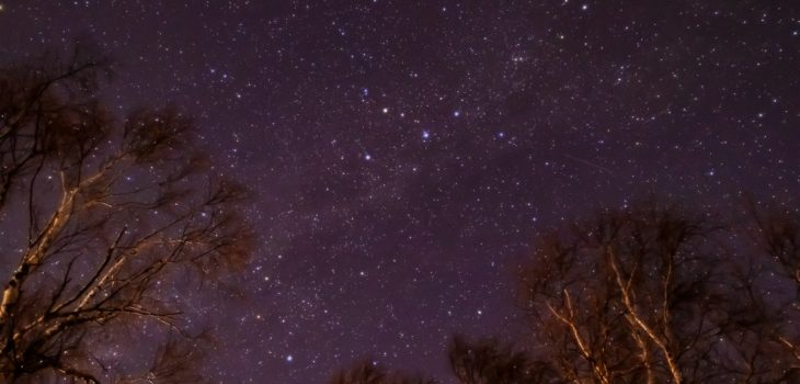 2021年1月9日、信州たてしな 白樺高原の蓼科第二牧場から、夜の星空風景